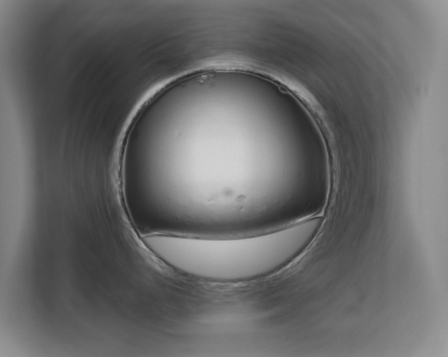 X0000112721248200908271400