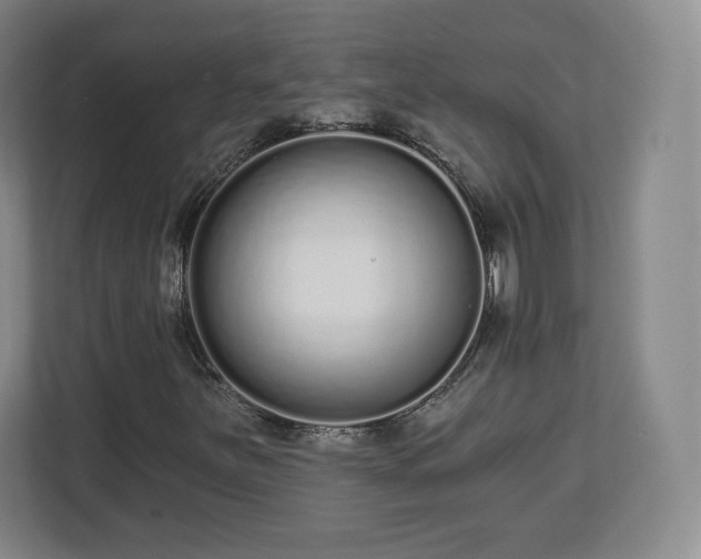 X0000112721251200908271359