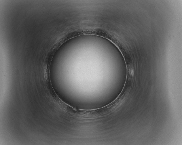 X0000112721252200908271359