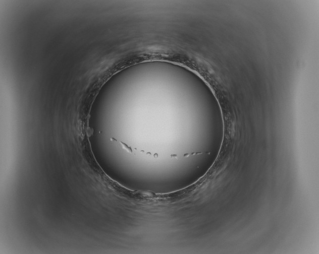 X0000112721253200908271359