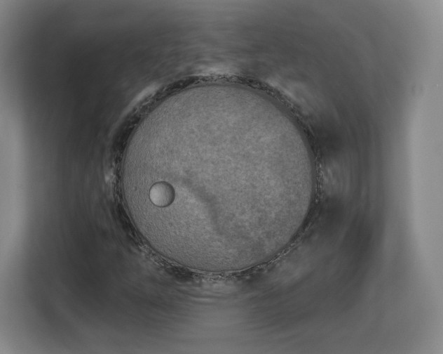 X0000112721254200908271359