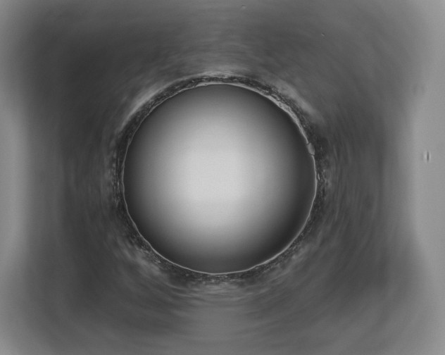 X0000112721256200908271359