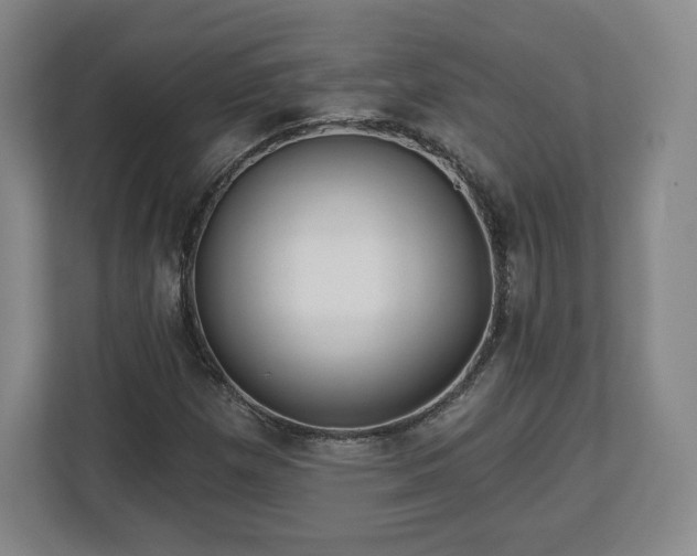 X0000112721257200908271359