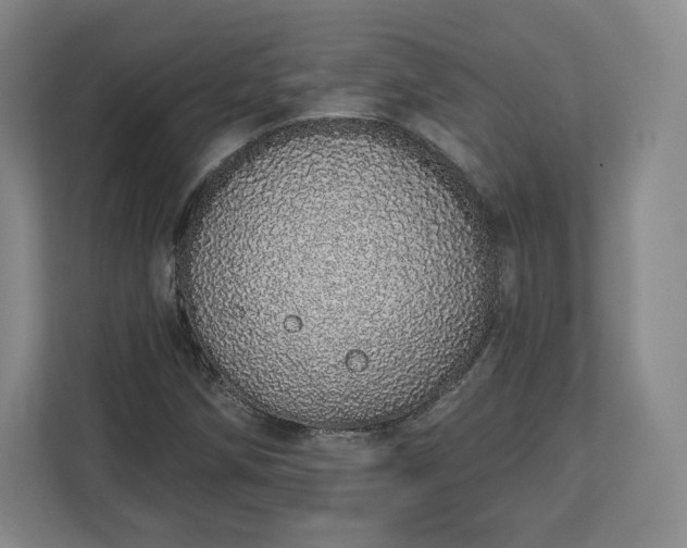 X0000112721258200908271359