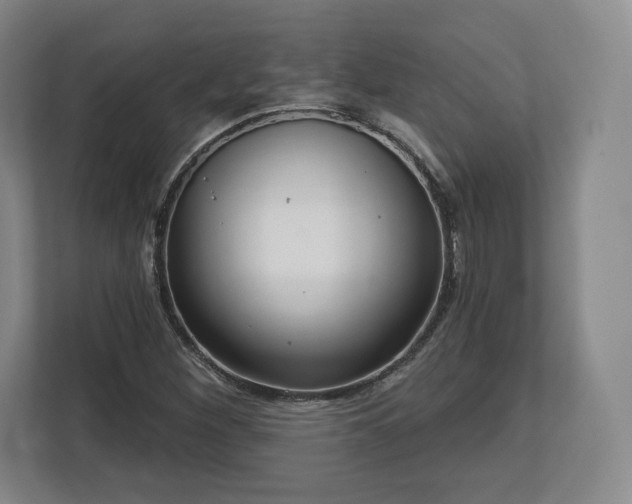 X0000112721260200908271359