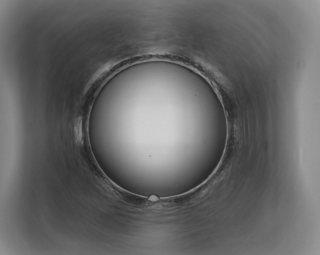 X0000112721262200908271359