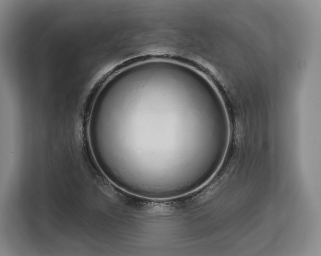 X0000112721263200908271359