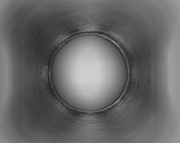 X0000112721265200908271359