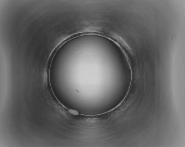 X0000112721268200908271359