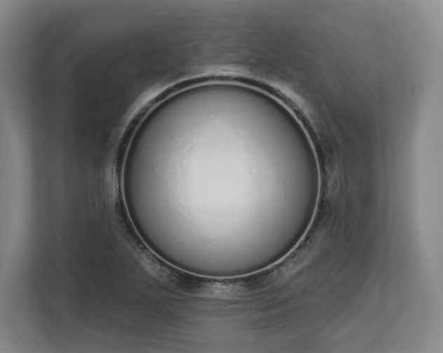 X0000112721271200908271359