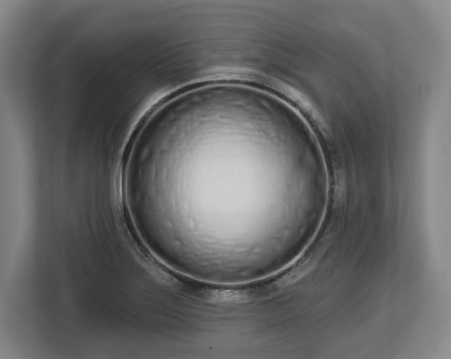 X0000112721275200908271359