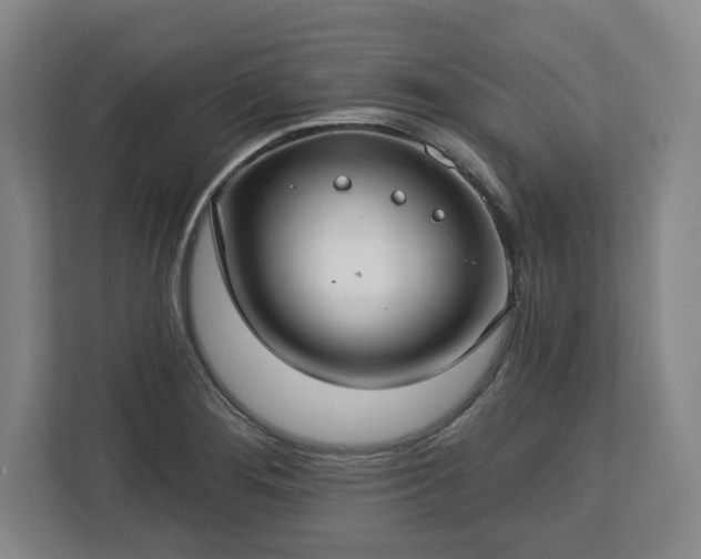 X0000112721276200908271359