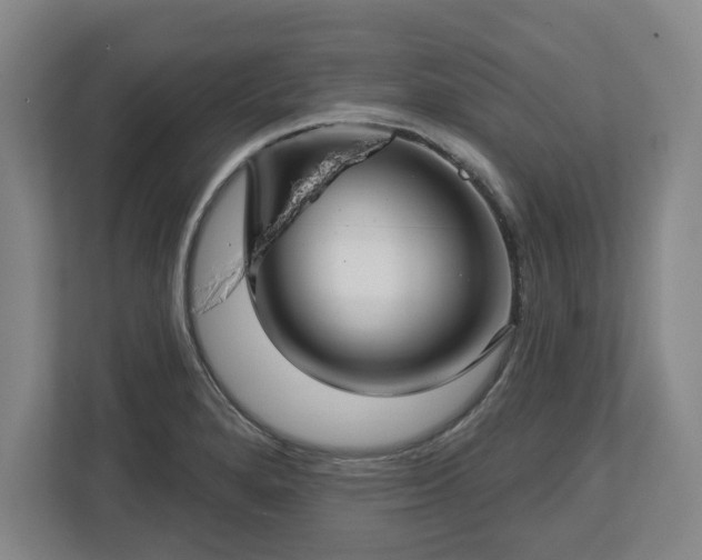 X0000112721280200908271359