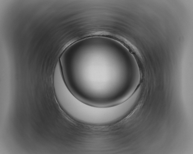 X0000112721281200908271359