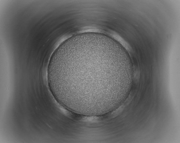 X0000112721282200908271359