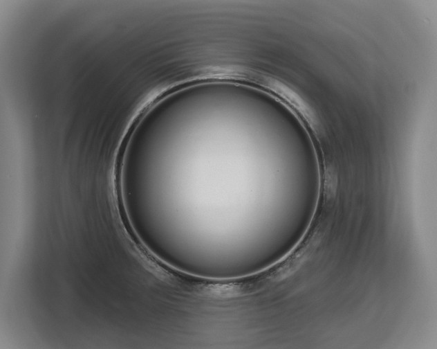 X0000112721283200908271359