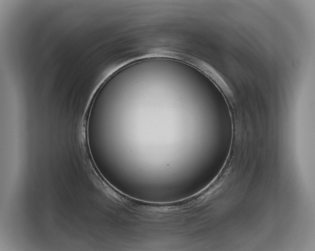 X0000112721292200908271359