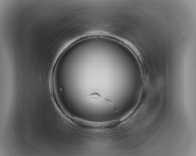 X0000112721295200908271359