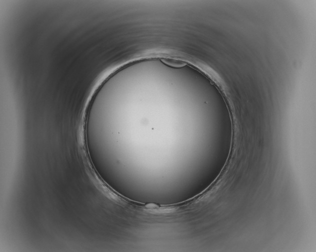 X0000112721296200908271359