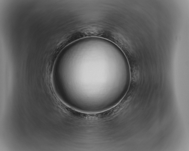 X0000112721297200908271358