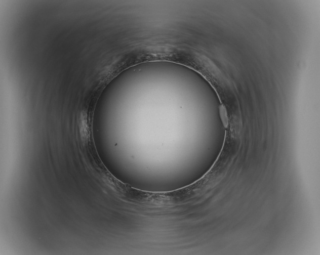 X0000112721298200908271358