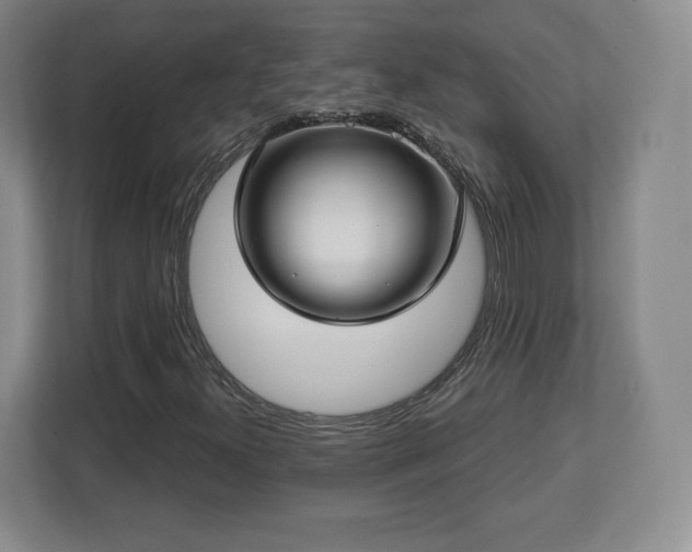 X0000112721300200908271358