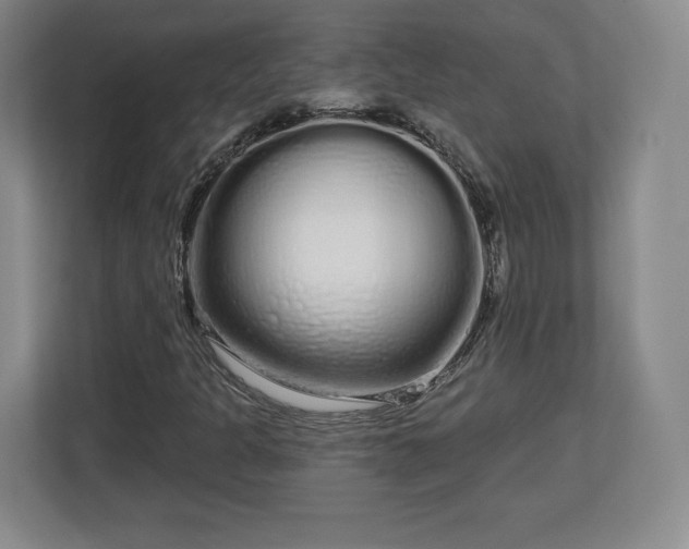 X0000112721301200908271358