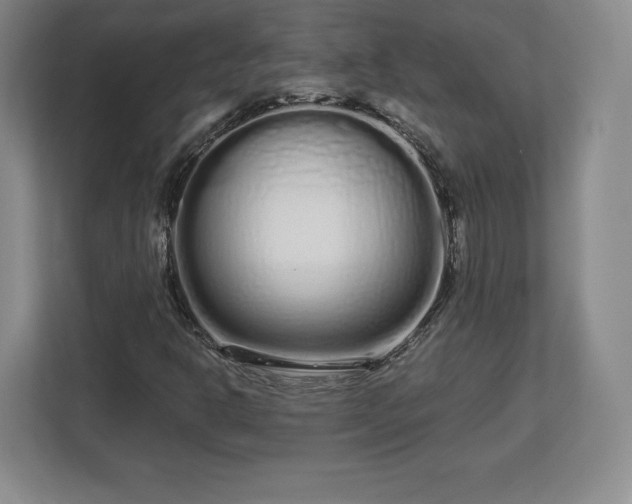 X0000112721302200908271358