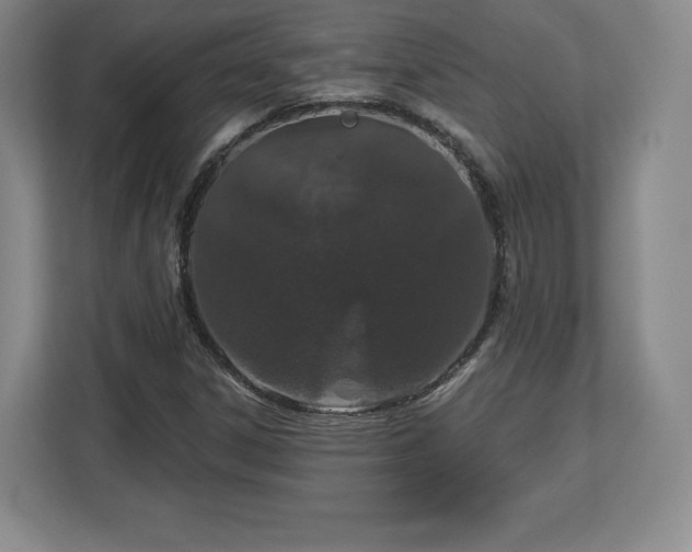 X0000112721306200908271358