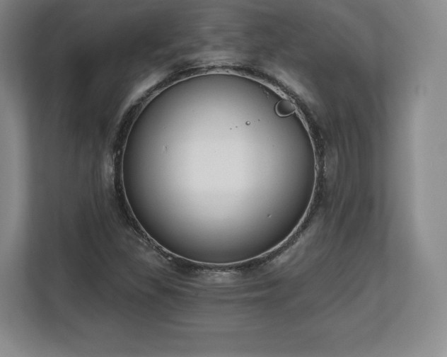 X0000112721309200908271358