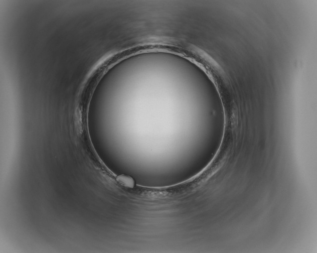 X0000112721310200908271358