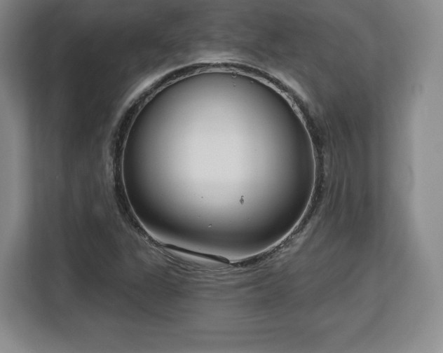 X0000112721311200908271358