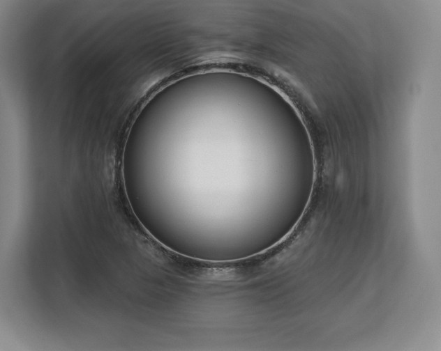 X0000112721313200908271358