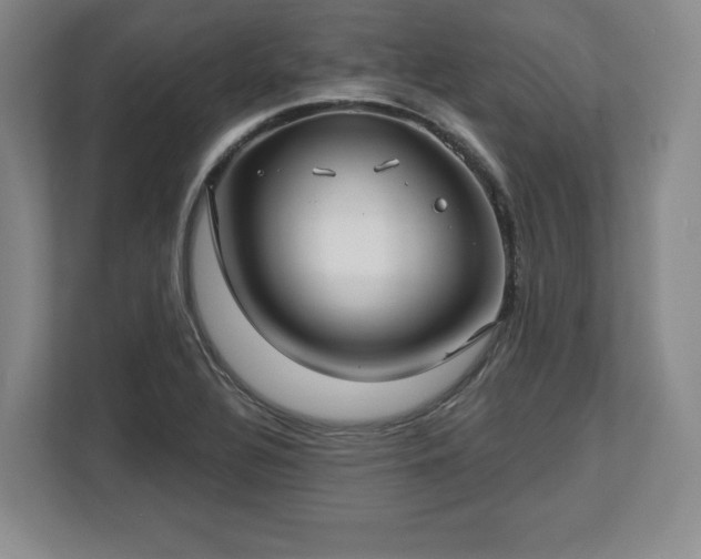 X0000112721320200908271358