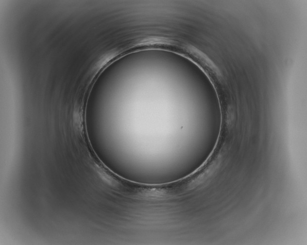 X0000112721321200908271359