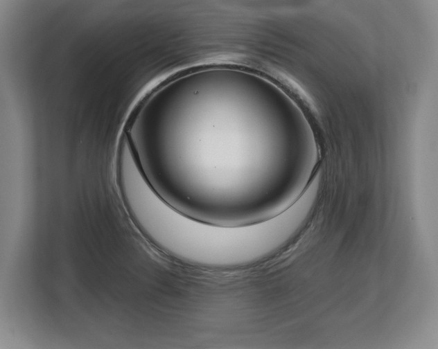 X0000112721324200908271359