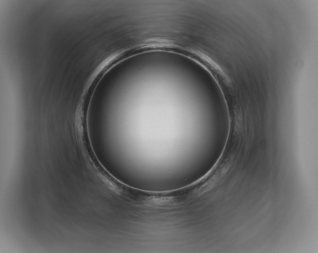 X0000112721325200908271359