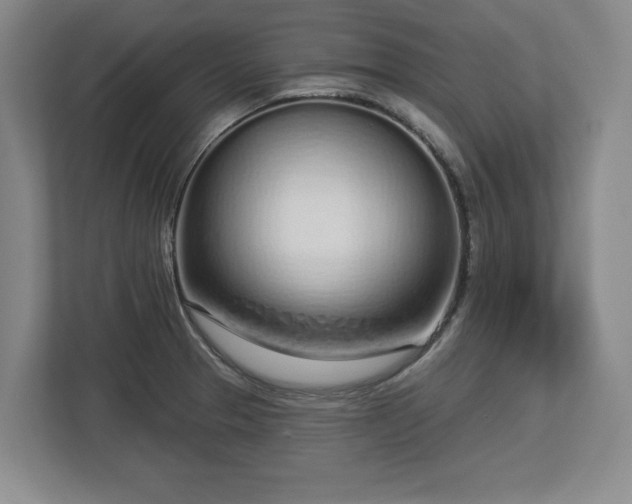 X0000112721329200908271359