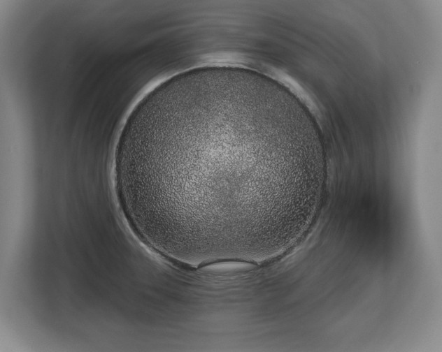 X0000112721331200908271359