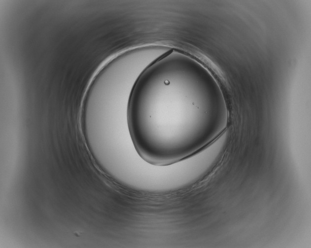 X0000112721332200908271359