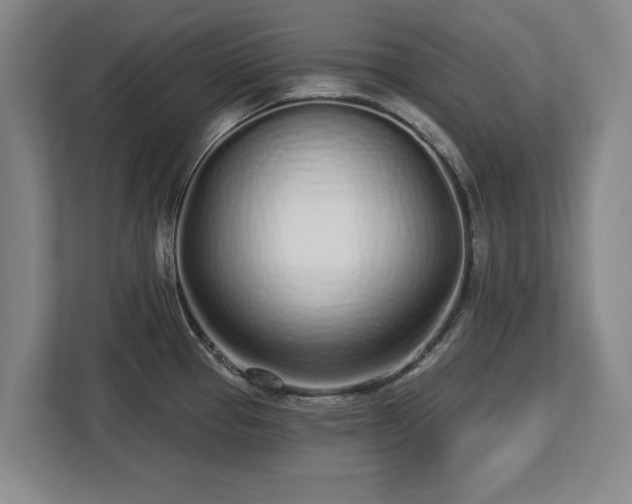 X0000112721337200908271359