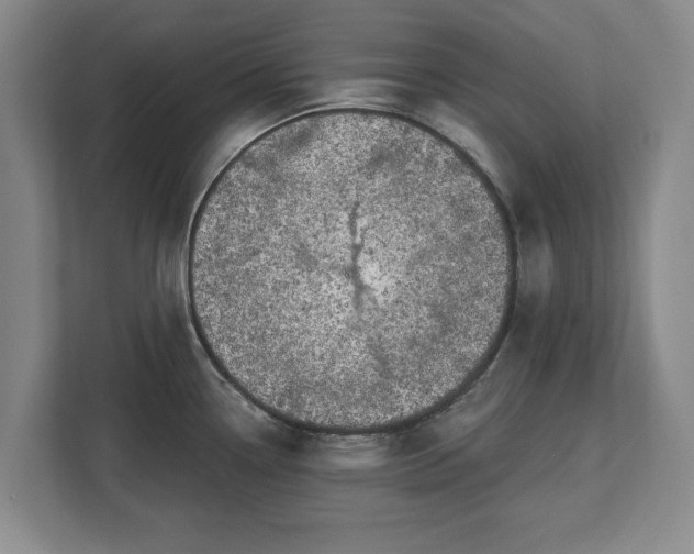 X0000112721338200908271359