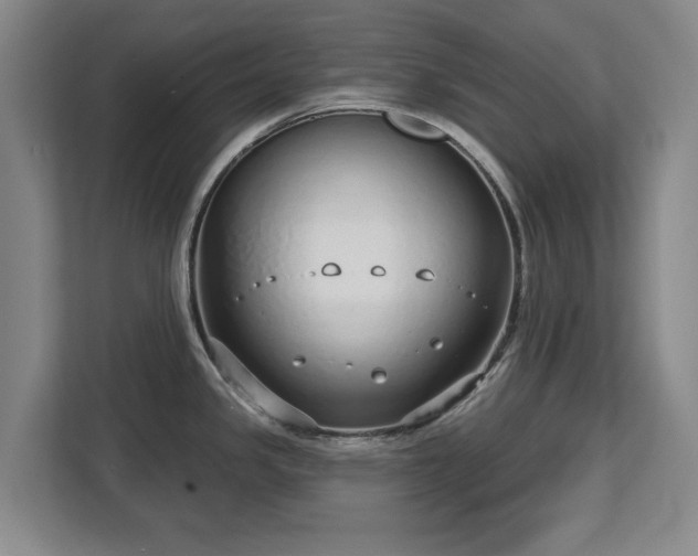 X0000112721341200908271359