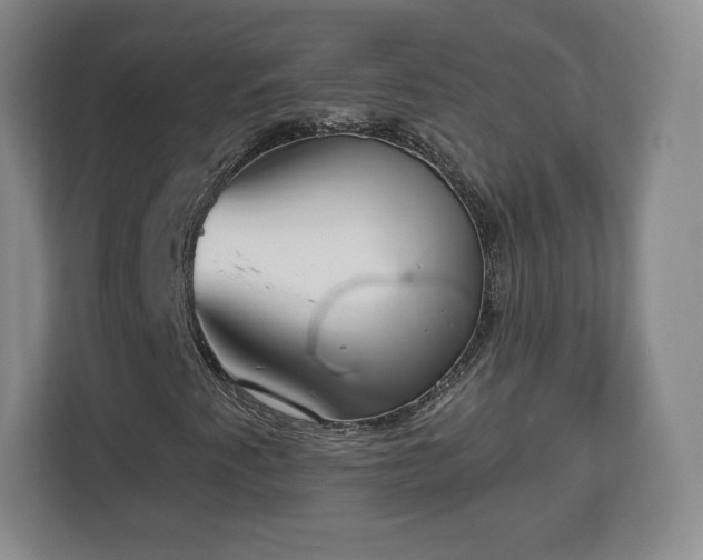 X0000112721345200908271358