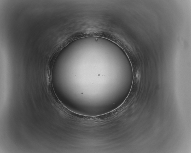 X0000112721348200908271358