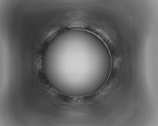 X0000112721350200908271358