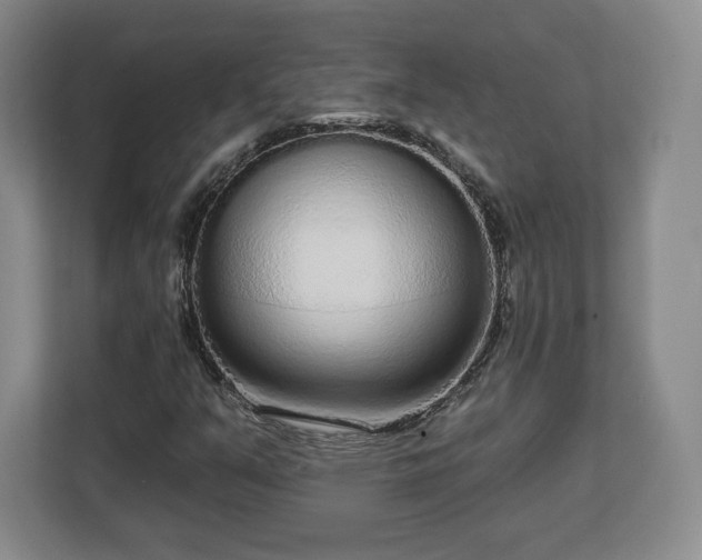 X0000112721351200908271358