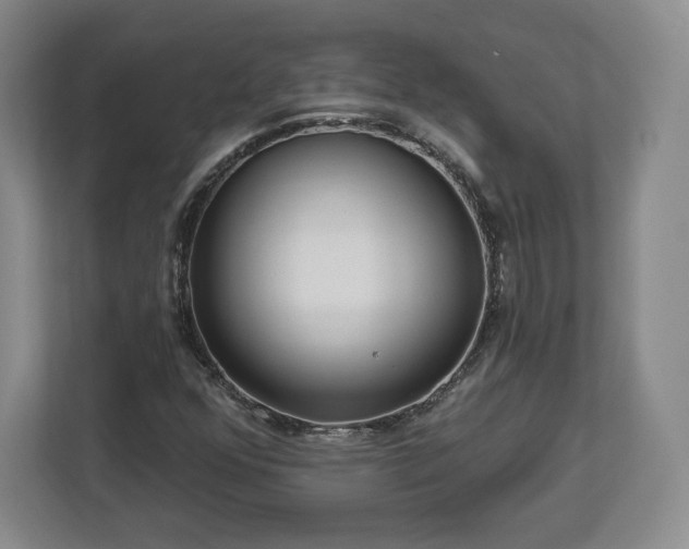 X0000112721352200908271358