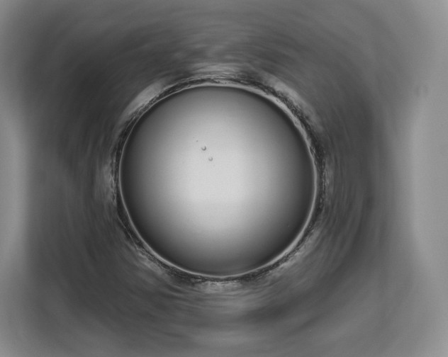 X0000112721354200908271358