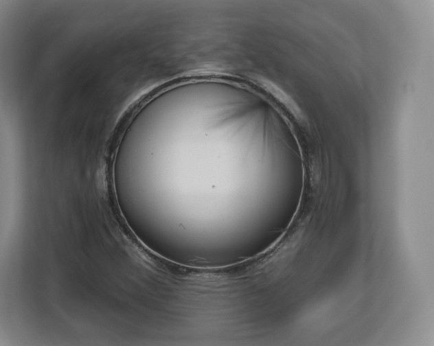 X0000112721356200908271358